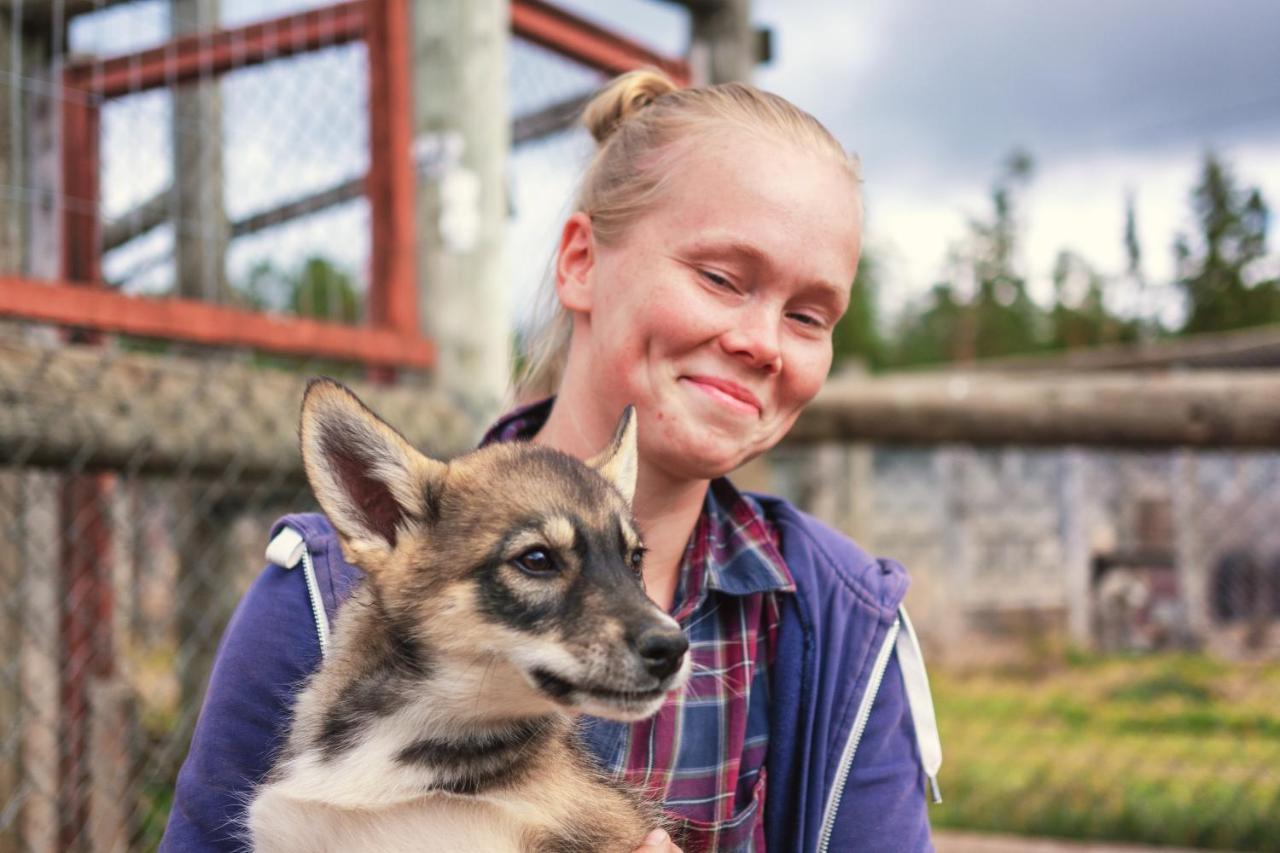 Harriniva Adventure Resort Cabins Muonio Zewnętrze zdjęcie